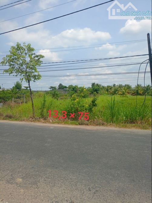 1 công đất Mt đường Mai Bá Hương, gần vòng xoay lớn P5 TP Tân An, Long An
