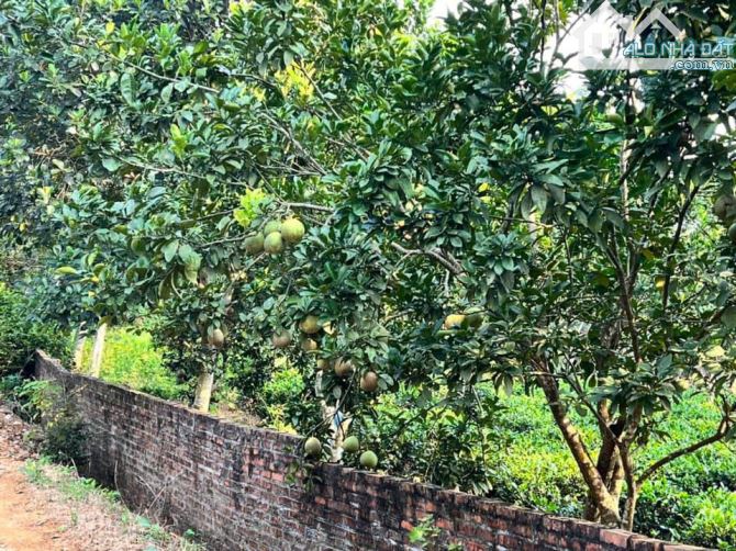 Bán lô 1020m2, sổ HN ngay gần TT xã Yên Bình, Thạch Thất. Giá hơn 5tr/m