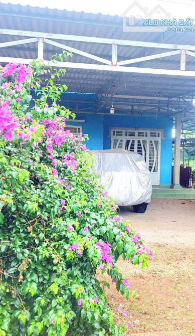 Bán nhà sân vườn góc 2 mặt tiền khu dân cư trung tâm Tà Nung gần UBND