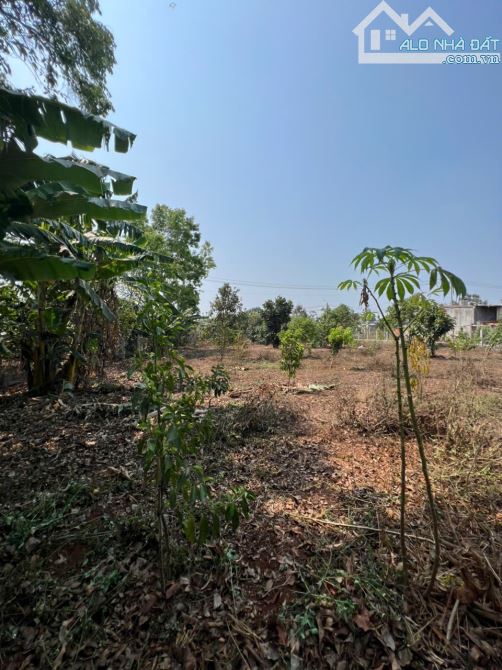 ❌  [14x44,8M] BÁN ĐẤT MẶT TIỀN VÀNH ĐAI QL14-26, EA TU, TP.BUÔN MA THUỘT. 4,4 TỶ