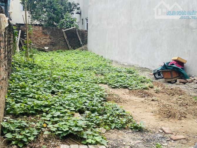 Bán đất Dô Hạ, Tiền Phong – 129m², giá cực tốt!