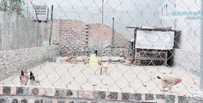 SIÊUn PHẨM Ô TÔ VÀO TẬN ĐẤT VIEW CẦU THĂNG LONG 95M VÕNG LA _ĐÔNG ANH ZÁ RẺ - 1