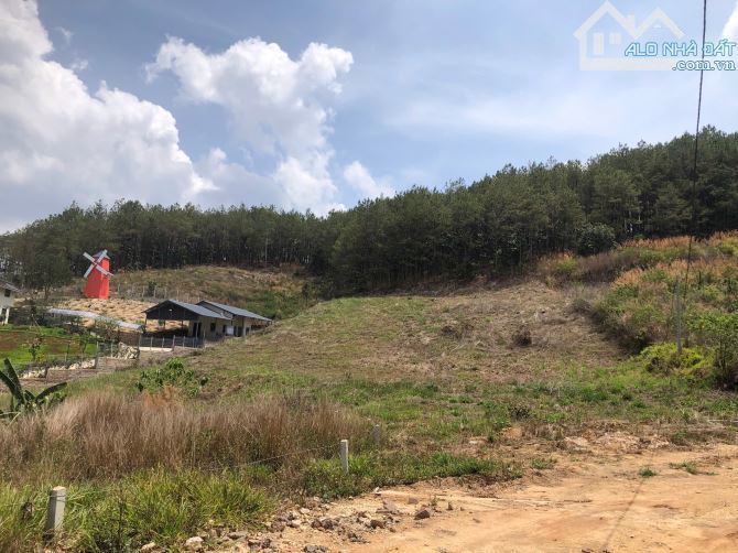 🌿 BÁN ĐẤT VIEW ĐẸP GIÁP RỪNG THÔNG – TIỀM NĂNG CAO TẠI LÂM HÀ - 3.2 TỶ - 1