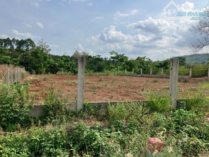 Chỉ với 2 tỷ có Hơn 1,000 m2 đất full hồng, Với gần 40m mặt tiền đường chính Long Giao BB - 1