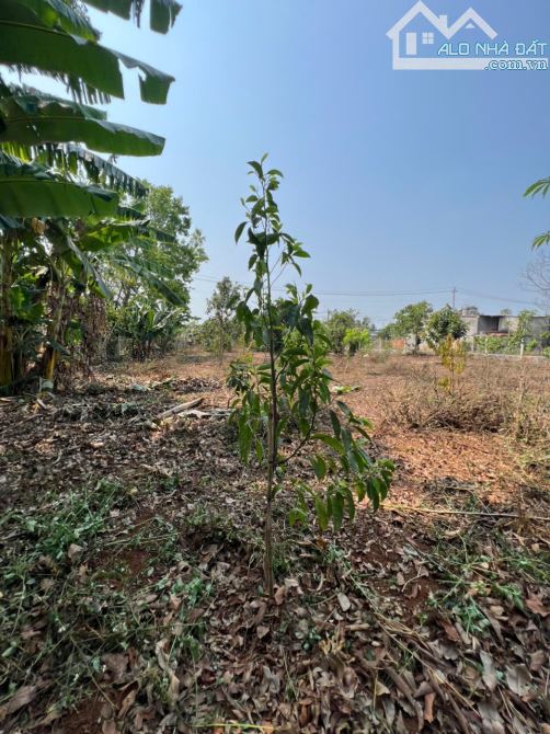 ❌  [14x44,8M] BÁN ĐẤT MẶT TIỀN VÀNH ĐAI QL14-26, EA TU, TP.BUÔN MA THUỘT. 4,4 TỶ - 1