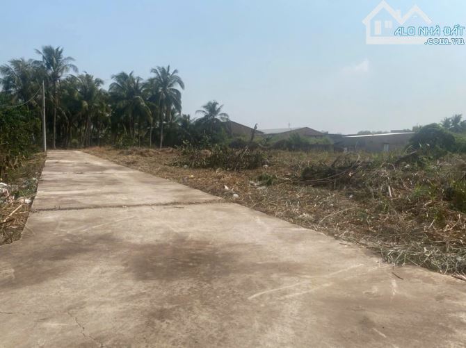 BÁN 2000M ĐẤT XÃ PHÚ AN HÒA GẦN CTY KHU CÔNG NGHIỆP GIAO LONG CHÂU THÀNH BẾN TRE - 1