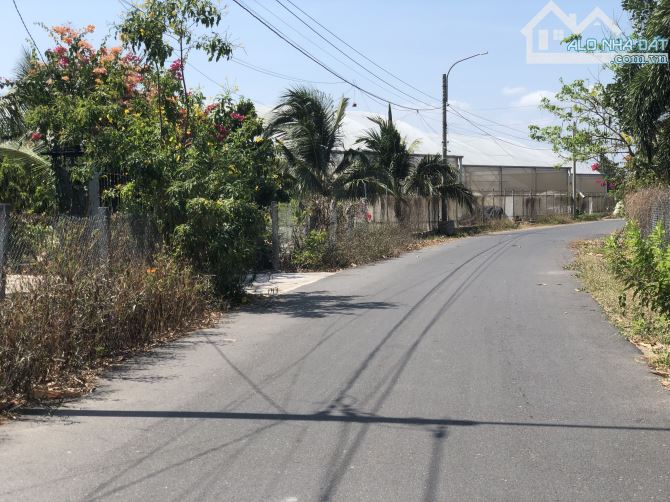 250m2 đất ven biển tt Phước Hải, chỉ 2ty2, dt: 250m2-10x25, có 200 thổ cư, sổ sẵn - 1