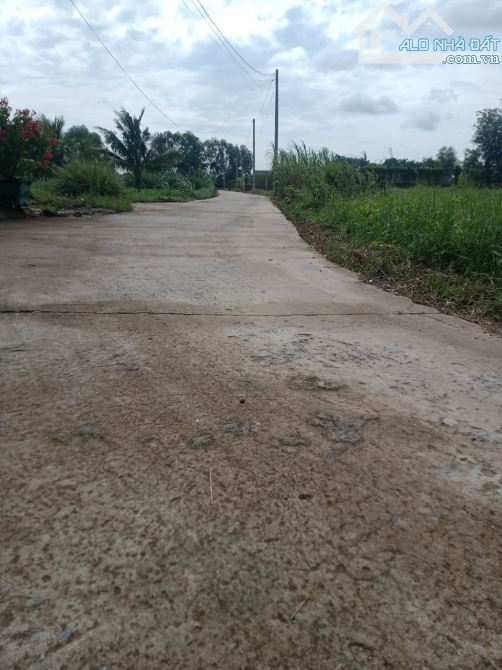 Tân Phú Trung 1 xẹt đường Hồ Văn Tăng đường bê tông DT 1000m2 có 2MT - 2