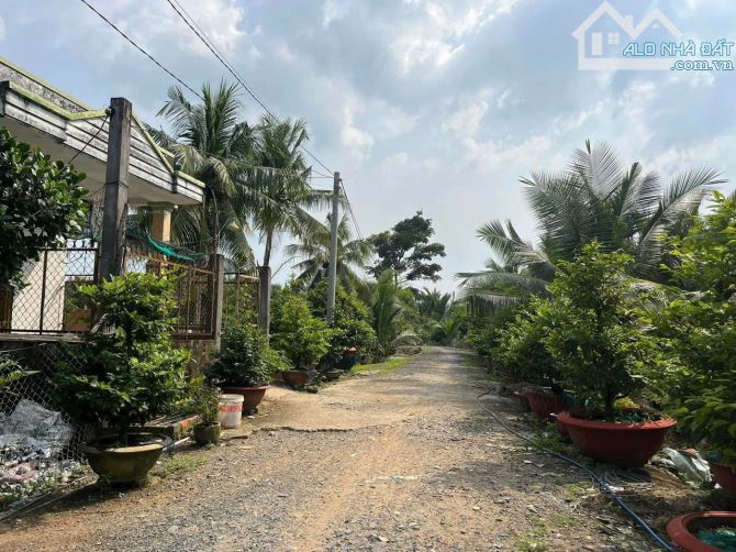 Cần bán đất nền An Thạnh Bến Lức,118m-5x24, Full thổ cư, SHR, 850 Triệu - 2