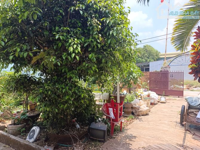 BÁN LÔ ĐẤT 921M2 TẶNG NHÀ CẤP 4 MẶT TIỀN  HẺM 11, ĐƯỜNG VÕ VĂN KIỆT, P. KHÁNH XUÂN, TP. BU - 2