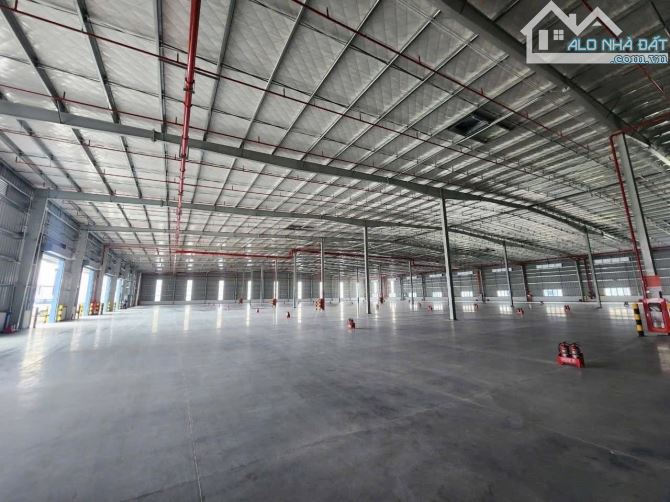 CHO THUÊ KHO CƯỞNG BÌNH DƯƠNG - 100.000m2