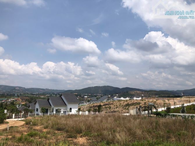 🌿 BÁN ĐẤT VIEW ĐẸP GIÁP RỪNG THÔNG – TIỀM NĂNG CAO TẠI LÂM HÀ - 3.2 TỶ - 2