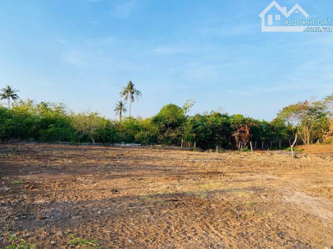 LÔ ĐẤT KHU THƯƠNG MẠI DỊCH VỤ CỔNG TRƯỚC SÂN BAY, 2 MẶT TIỀN, GIÁ CỰC TỐT - 2