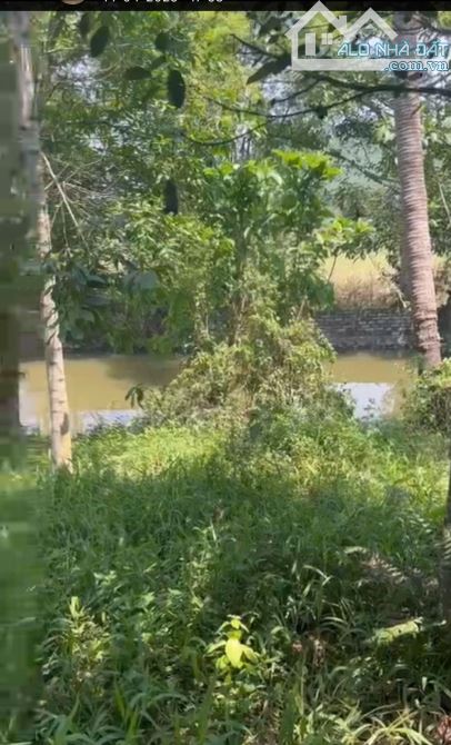 Bán đất TT Chi Nê, Lạc Thủy, View Suối, Ao Vườn, khách sạn, nghỉ Dưỡng, Farm , DT 2490m2 - 2