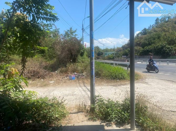 Bán đất mặt tiền quốc lộ 1a view trực diện biển - 2