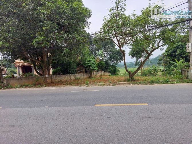 Bán Đất Mặt Đường TL 87 Yên Bài, Ba Vì Mặt Tiền 16M Nở Hậu - 2