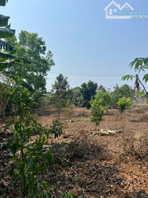 ❌  [14x44,8M] BÁN ĐẤT MẶT TIỀN VÀNH ĐAI QL14-26, EA TU, TP.BUÔN MA THUỘT. 4,4 TỶ - 2