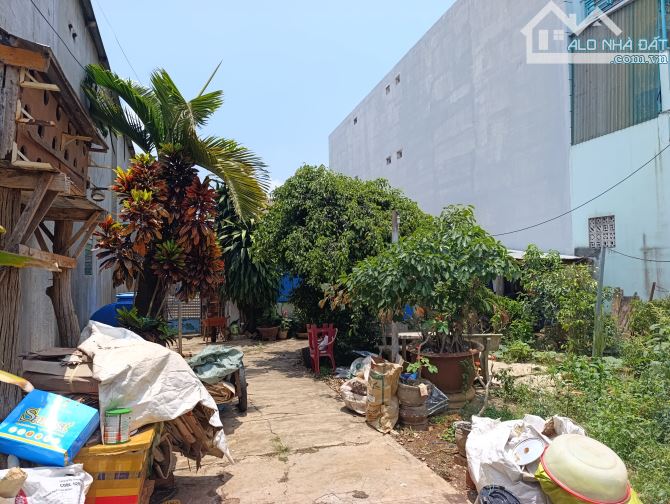 BÁN LÔ ĐẤT 921M2 TẶNG NHÀ CẤP 4 MẶT TIỀN  HẺM 11, ĐƯỜNG VÕ VĂN KIỆT, P. KHÁNH XUÂN, TP. BU - 3
