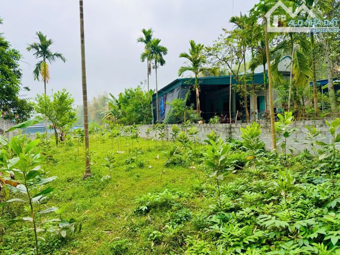 ổng DT 347m Full đất ở đô thị, Thị Trấn Bo, Kim Bôi, Hòa Bình. - 3