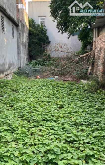 Bán 69m đất Thôn Đặng Minh Hải Văn Lâm sát KCN phố nối A - 3