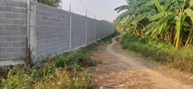 Giá 10 tỷ. Bán đất mặt tiền đường Mỹ xã Bình Hoà, Vĩnh Cữu. 1668m có 300m thổ cư. - 3