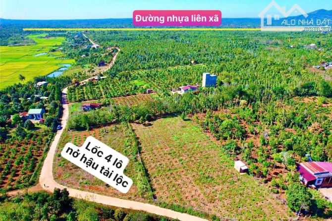 👊 Bán 420m2 đất ở mặt đường bê tông giá 368tr - 3