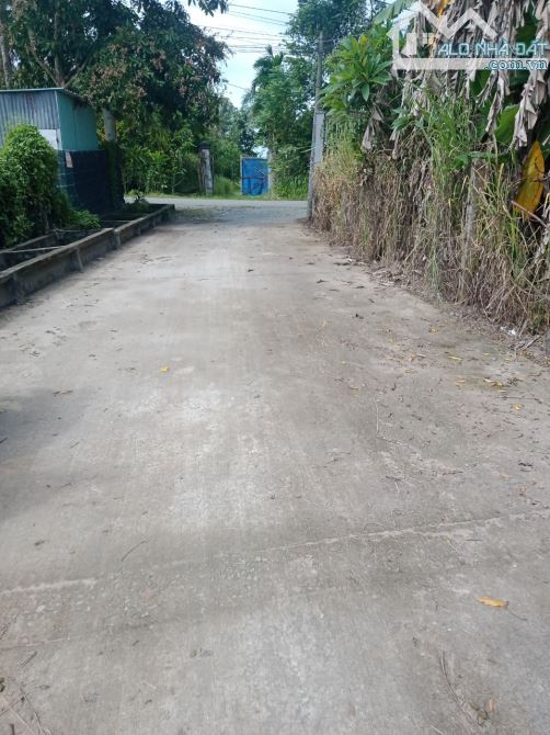 Tân Phú Trung 1 xẹt đường Hồ Văn Tăng đường bê tông DT 1000m2 có 2MT - 4