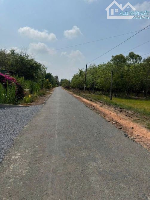 Bán gấp lô đất đường nhựa xe hơi Long Tân, X.Long Giang, Bến Cầu, Tây Ninh - 6