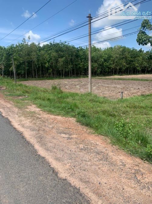 Bán gấp lô đất đường nhựa xe hơi Long Tân, X.Long Giang, Bến Cầu, Tây Ninh - 9