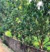 Bán lô 1020m2, sổ HN ngay gần TT xã Yên Bình, Thạch Thất. Giá hơn 5tr/m