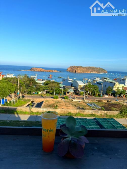 Đất biển trực diện biển Quy Nhơn kinh doanh gì cũng thuận lợi sót view biển  chỉ 1ty650tr