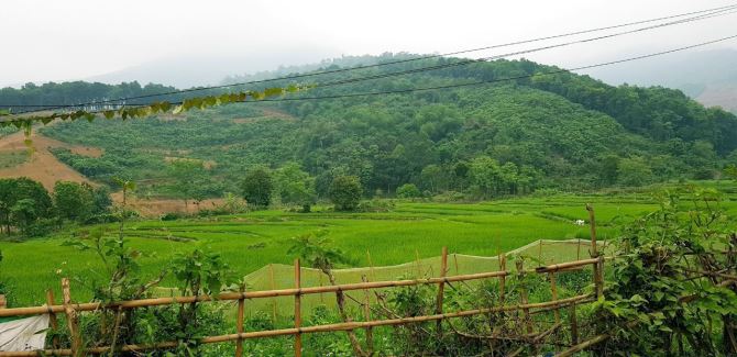 CẦN CHUYỂN NHƯỢNG NHANH 578m/150m ONT đất xã Cao Sơn, Lương Sơn, Hòa Bình view Cánh Đồng
