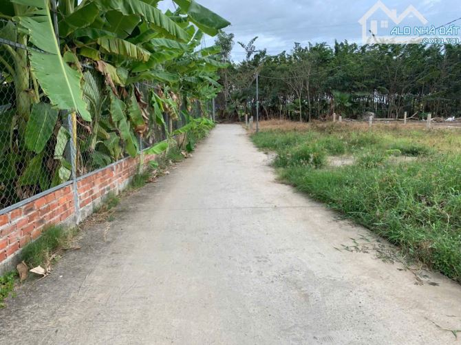 Cần bán 2 lô đất full thổ liền kề nhau    - DT : 5x26 . 130m2   - đối diện kcn an nhựt tân