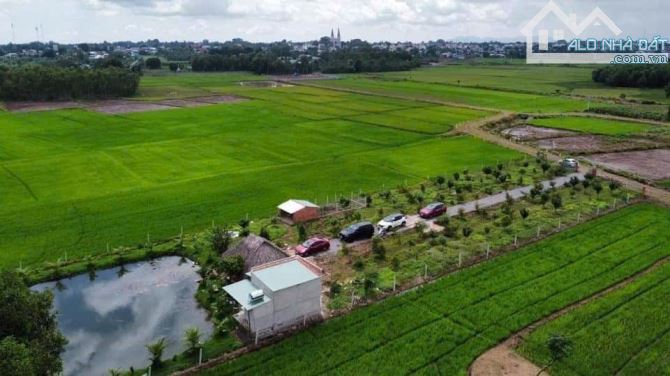 Đất Bình Trung - View Ruộng Lúa - Đã Có Vườn Trái Cây - Ao Cá - 1