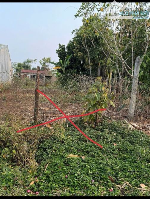 💥Đất mặt tiền đường A2 - Thôn 4 Cư Êbur - 5 x 25m chỉ 1.350 tỷ - 1