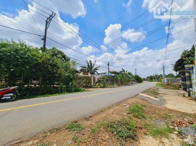 Bán lô đất mặt tiền Bình Lục Long Phú, Tân Bình, Vĩnh Cửu, 2000m2, giá 12 tỷ - 1
