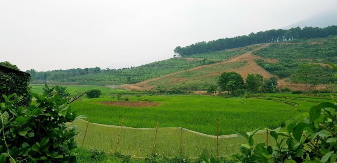 CẦN CHUYỂN NHƯỢNG NHANH 578m/150m ONT đất xã Cao Sơn, Lương Sơn, Hòa Bình view Cánh Đồng - 1