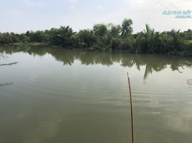 Ngộp bán gấp đất nhà vườn thổ cư MT sông Phú Đông Nhơn Trạch sát TP. HCM giá rẻ 7,5tr/m - 1