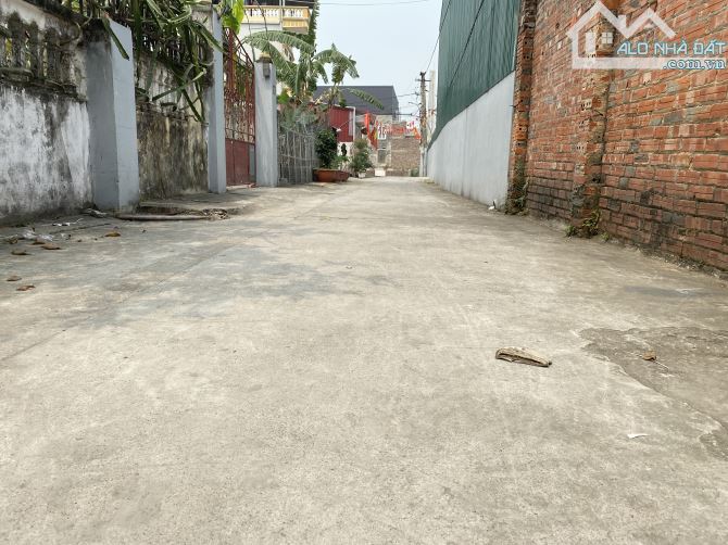 BÁN ĐẤT BẮC HỒNG, ĐÔNG ANH, HÀ NỘI. DT 125m2, MT 5.9m. NỞ HẬU, ĐƯỜNG THÔNG RỘNG 4m. - 1