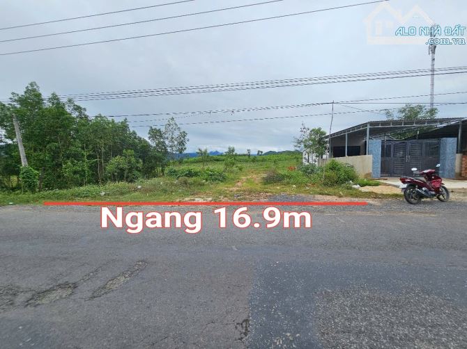 Bán đất mặt tiền Tỉnh Lộ 8 Khánh Bình gần trại cai nghiện phù hợp làm kho xưởng - 1