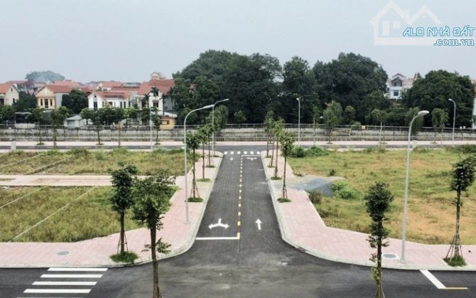 Bán đất tại Liên Hà Xã Vân Hà, Đông Anh, Hà Nội, 11 tỷ, 80m2, đẹp, nhiều tiện ích - 2
