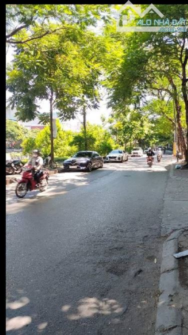 145 Tỷ/ 310 M2/ 10 Tầng/11 Mt/ Tòa Văn Phòng. Mặt phố Vũ Tông Phan - 2