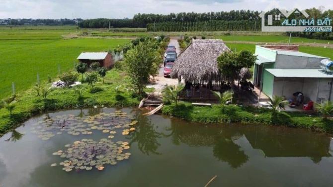 Đất Bình Trung - View Ruộng Lúa - Đã Có Vườn Trái Cây - Ao Cá - 2