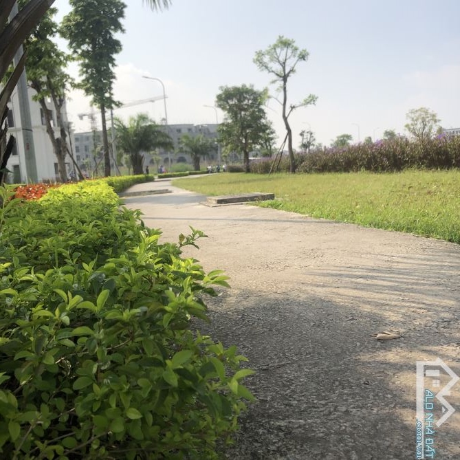 Đất Dịch Vụ 16.32 Ha Di Trạch Phân Lô Vỉa Hè Vị Trí Vàng Kinh Doanh Giá Đẹp 120 Triệu 1m2 - 2