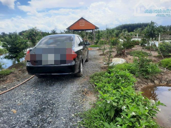Ngộp bán gấp đất nhà vườn thổ cư MT sông Phú Đông Nhơn Trạch sát TP. HCM giá rẻ 7,5tr/m - 3