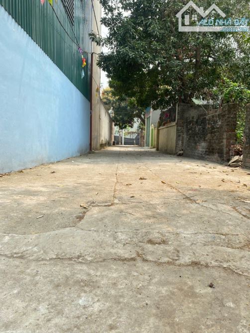 BÁN ĐẤT BẮC HỒNG, ĐÔNG ANH, HÀ NỘI. DT 125m2, Mt 5,9m. ĐƯỜNG RỘNG 4M. - 3