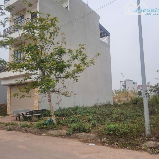 Bán đất Trung Tâm Thị Trấn Đồi Ngô, Lục Nam. 80m2- Mt 5m. Đường 15m. Giá 3,4 tỷ - 3