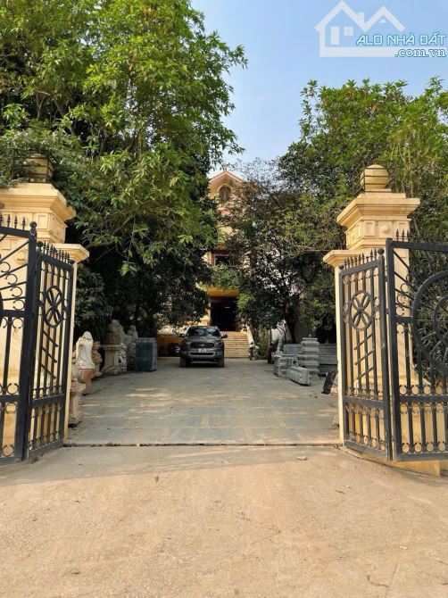 Siêu Hiếm! 500m2, Phụng Châu, Chương Mỹ, 450mTC, MT 15m, Đường r=22m; 25 tỷ - 3