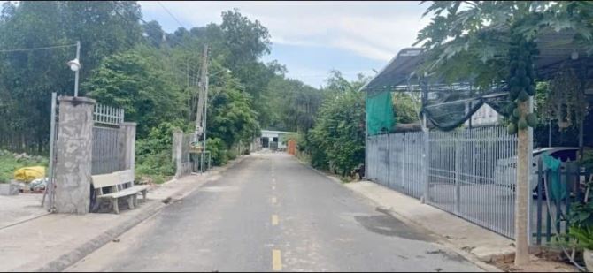 Bán lô Đất Víp trung tâm xã Tam An - Long Đất ,BRVT, ngay đường 44B giá rẻ - 3