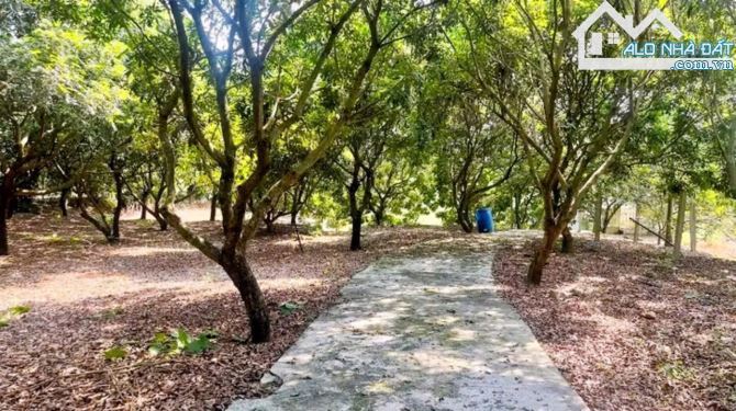 !CHỈ 750TR -  Chính chủ kẹt tiền cần bán gấp đất vườn 2500m2 tại Thống Nhất, Đồng Nai - 2